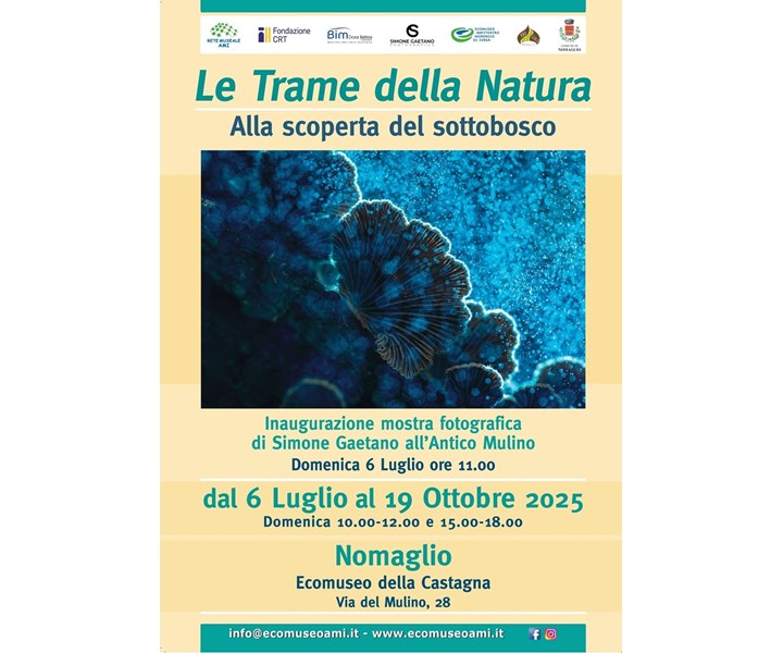 LE TRAME DELLA NATURA - ALLA SCOPERTA DEL SOTTOBOSCO