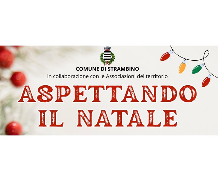 IL VILLAGGIO DI BABBO NATALE A STRAMBINO