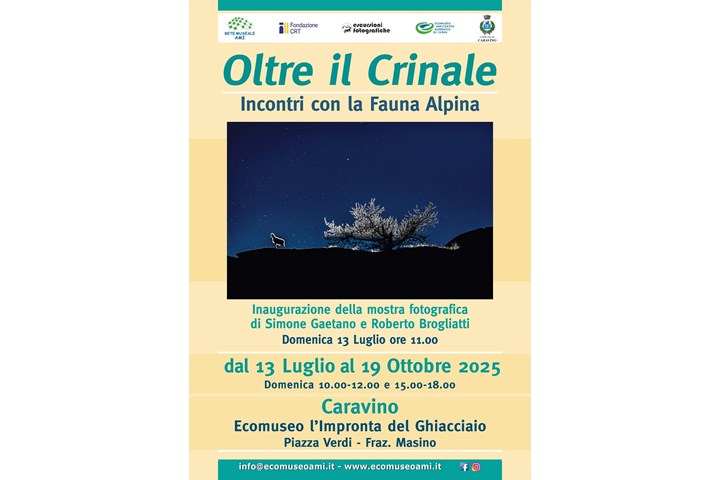 OLTRE IL CRINALE - INCONTRI CON LA FAUNA ALPINA