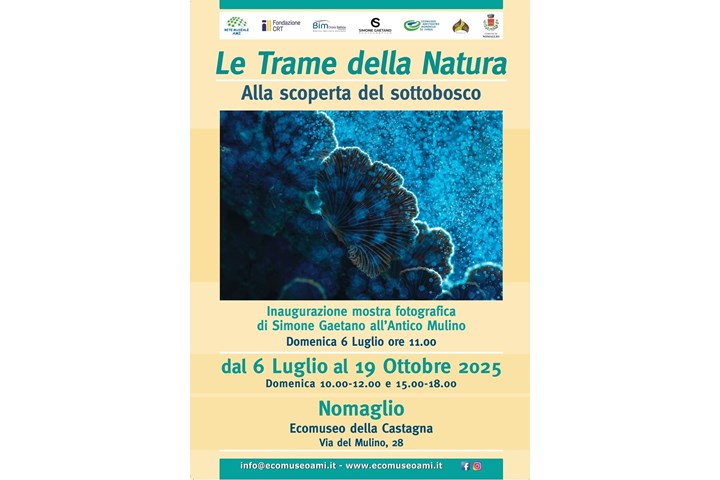 LE TRAME DELLA NATURA - ALLA SCOPERTA DEL SOTTOBOSCO