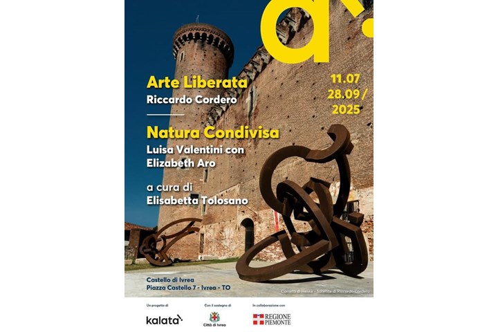 ARTE LIBERATA